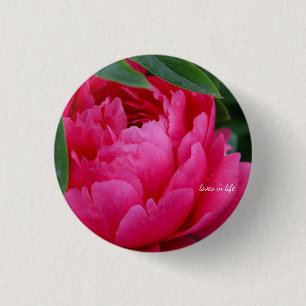 Bashful Pink Peony Button