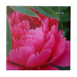 Bashful Pink Peony Fliese