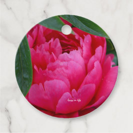 Bashful Pink Peony Geschenkanhänger