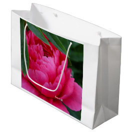Bashful Pink Peony Große Geschenktüte