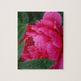 Bashful Pink Peony Puzzle