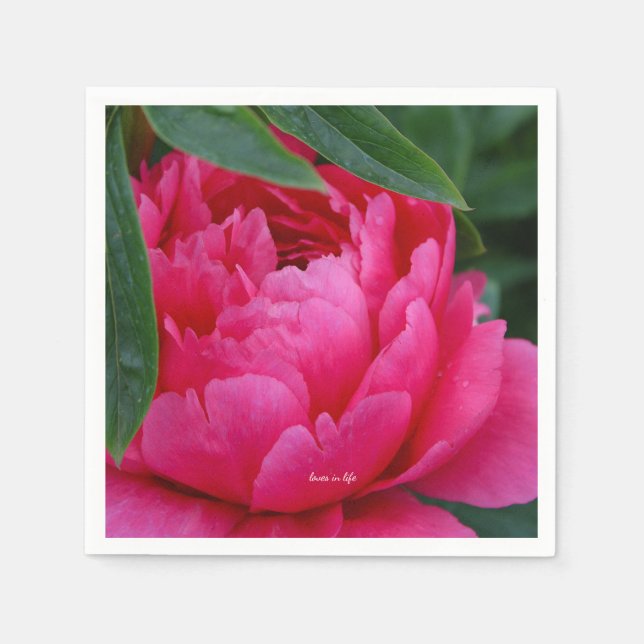 Bashful Pink Peony Serviette (Vorderseite)