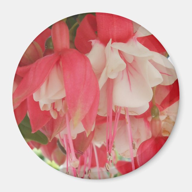 Bashkirtseff Magnet (Vorne)