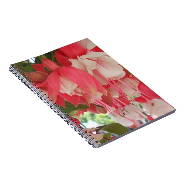 Bashkirtseff Notizblock (Rechte Seite)