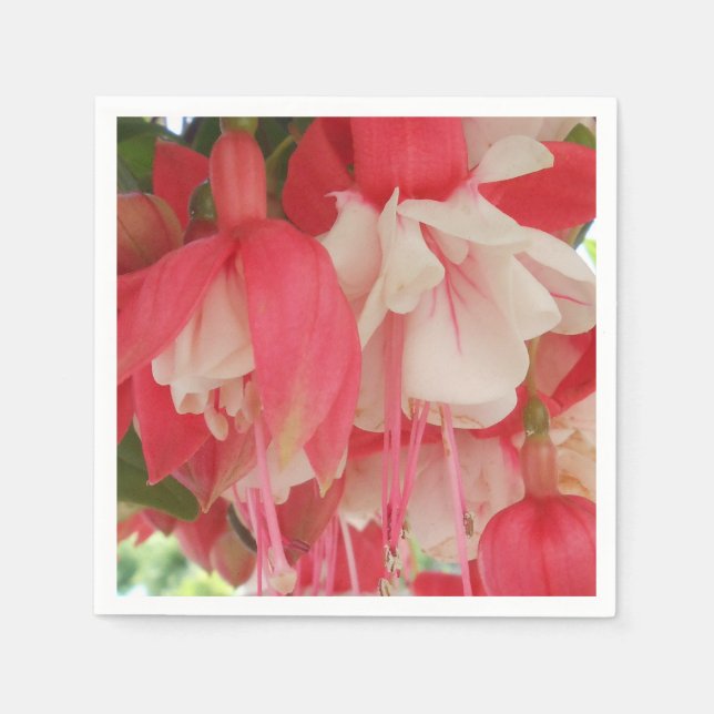 Bashkirtseff Serviette (Vorderseite)