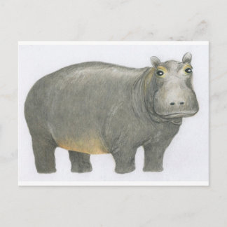 Basic Hippo Postkarte