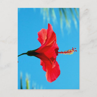 BASIEREND AUF DER SONNE DES ABENDS POSTKARTE