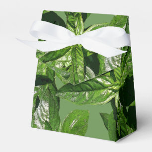 Basil-Blätter bevorzugen Zelt-Felder Geschenkschachtel