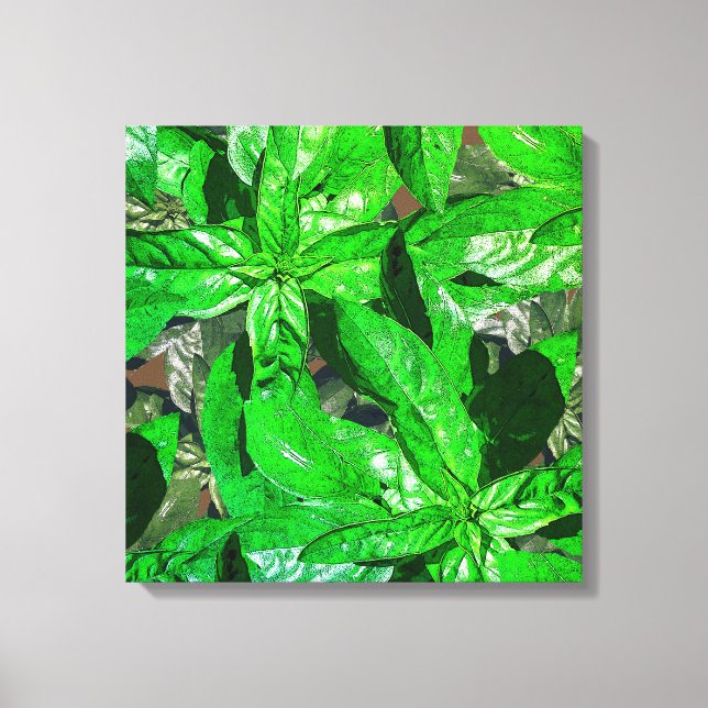 Basil Blätter Foto Art Wrapped Canvas Leinwanddruck (Vorderseite)