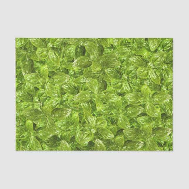 Basil-Blätter-Muster Seidenpapier (Vorderseite)