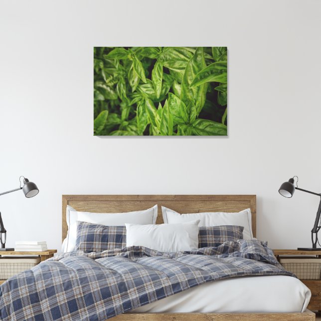 Basil Canvas Leinwanddruck (Insitu (Schlafzimmer))