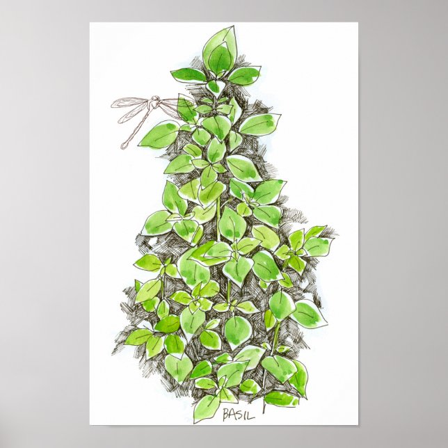 Basil Dragonfly Ink Zeichnend Wasserfarbe Poster (Vorne)