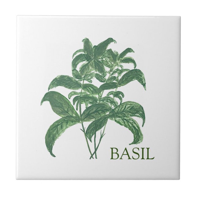 Basil Herb Grüne Küche Kulinarisches Grün Fliese (Vorderseite)