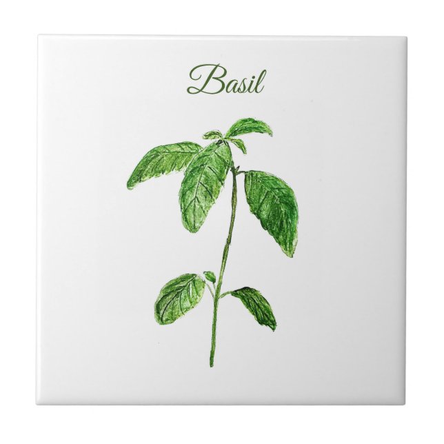 Basil Herb Grüne Küche Kulinarisches Grün Rustikal Fliese (Vorderseite)