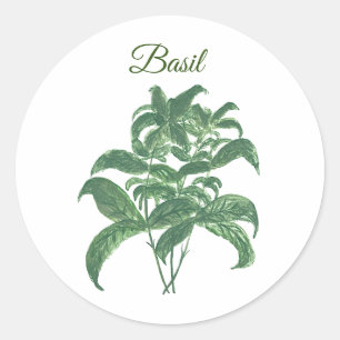 Basil Kräuter Grün Küchen Grünpflanze Runder Aufkleber