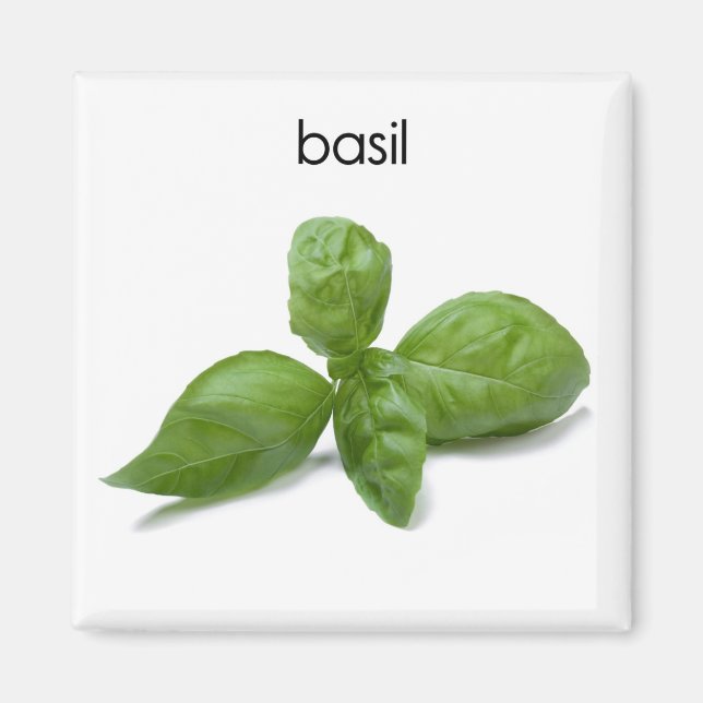 Basil Kühlschrank Magnet (Vorne)