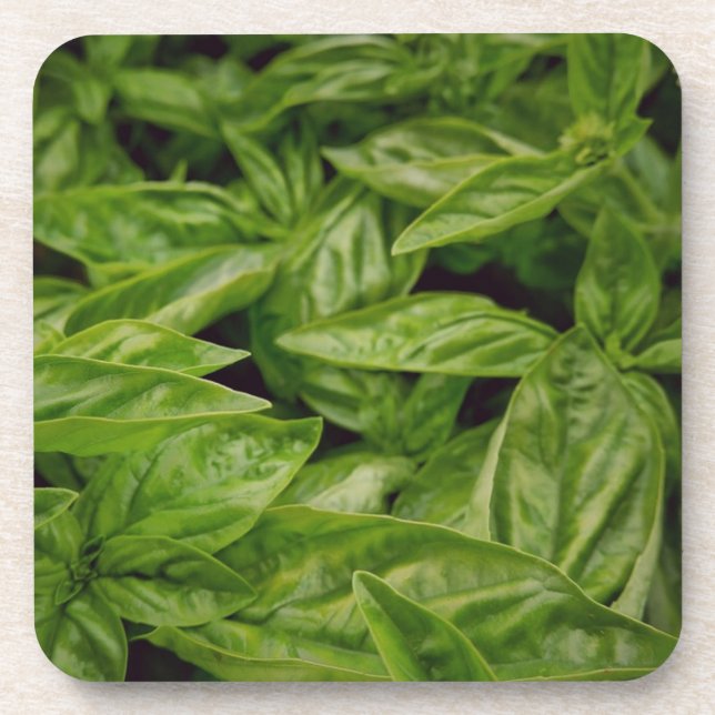 Basil-Notizbuch Getränkeuntersetzer (Vorderseite)