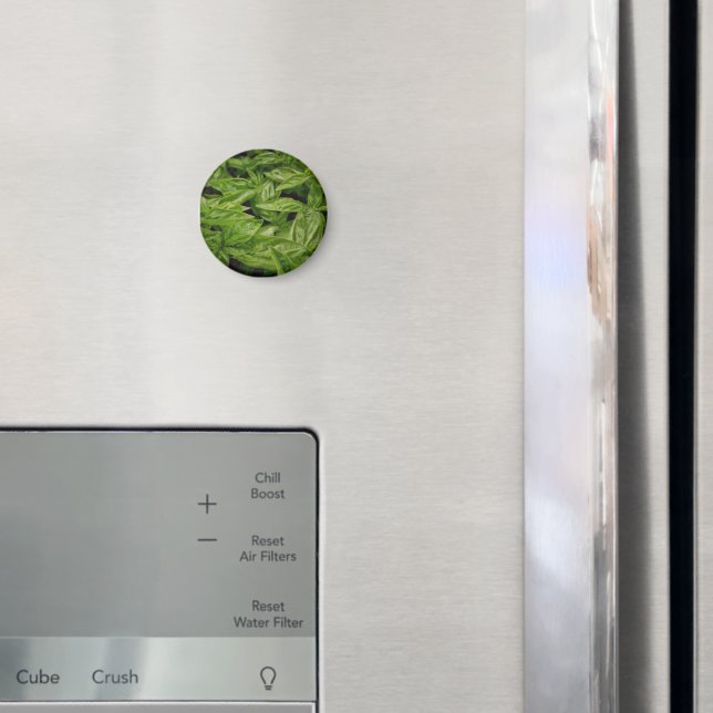 Basil-Notizbuch Magnet (In Situ (Kühlschrank))