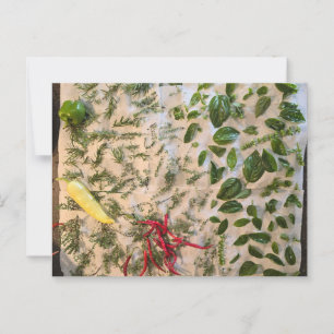 Basil und Paprikaschoten Postkarte