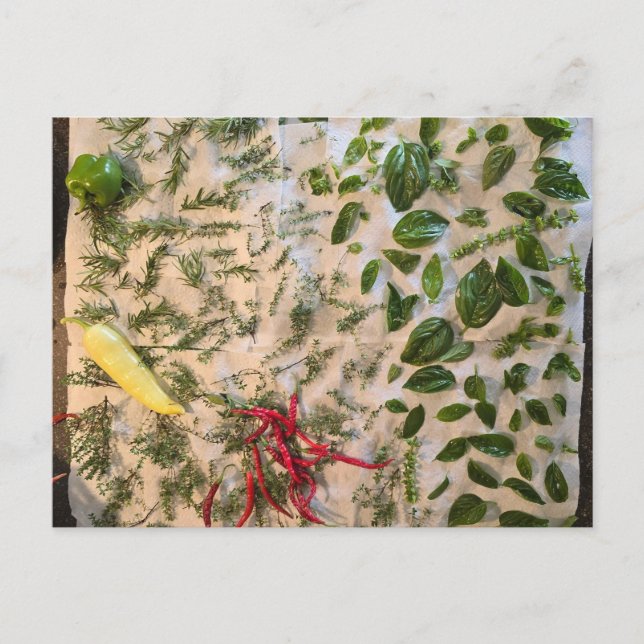 Basil und Paprikaschoten Postkarte (Vorderseite)
