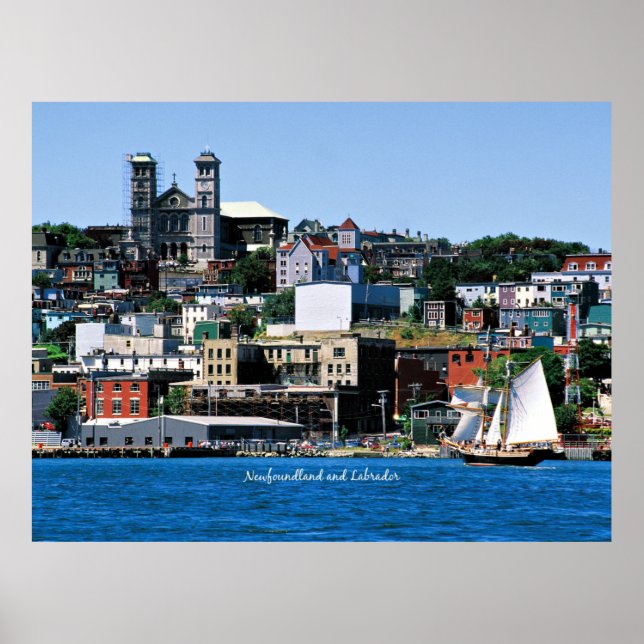 Basilika an der Küste in St. John's Poster (Vorne)