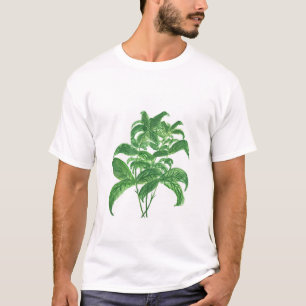 Basilikum Kräuter botanischer Küchengarten Aquarel T-Shirt