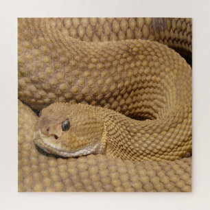 Basilisk Pit Viper Rattlesnake Puzzle