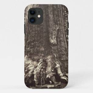 Basis des Graubär-Riesen, 'vom Yosemite-Buch iPhone 11 Hülle