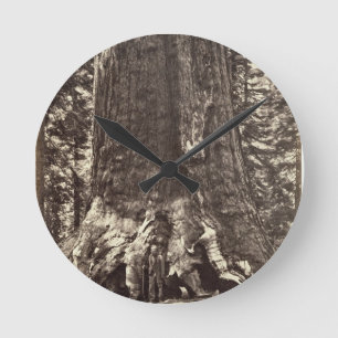 Basis des Graubär-Riesen, 'vom Yosemite-Buch Runde Wanduhr