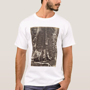 Basis des Graubär-Riesen, 'vom Yosemite-Buch T-Shirt