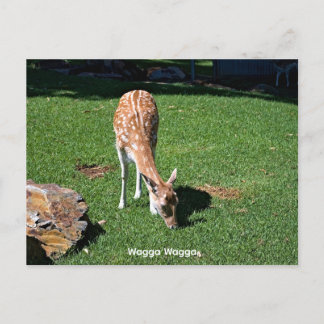 Basische Halbglanz-Postkarte Postkarte