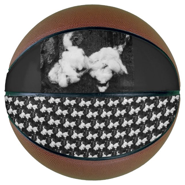 Basketball (Vorderseite)