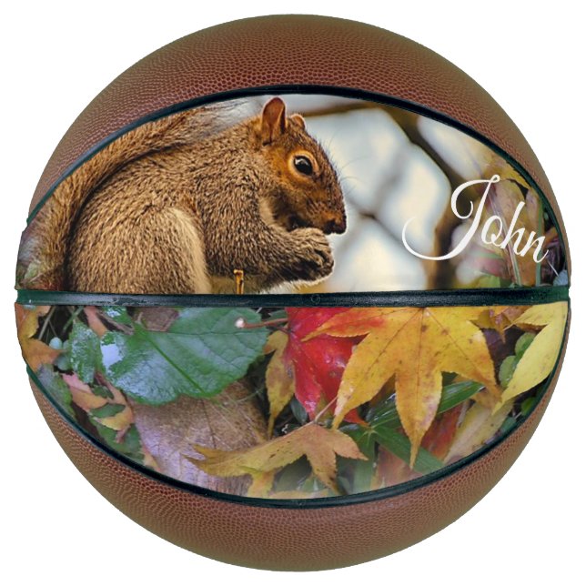 Basketball-Eichel Basketball (Vorderseite)