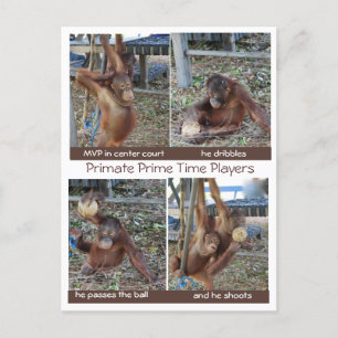 Basketball MVP Hoop Jokes Postkarte