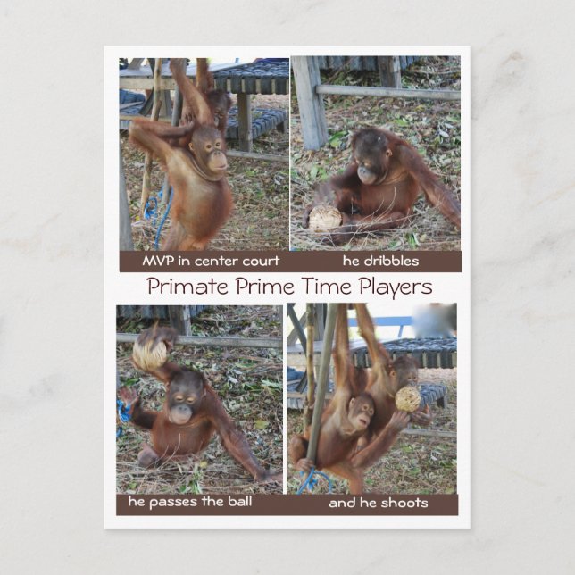 Basketball MVP Hoop Jokes Postkarte (Vorderseite)