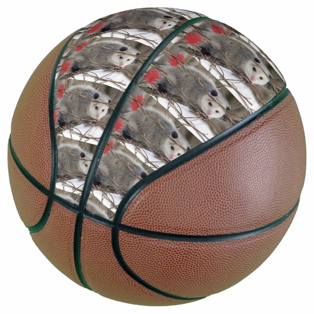 Basketball Opossum Natur (angewinkelt)
