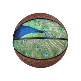 Basketball - Pfau mit Pferdefedern