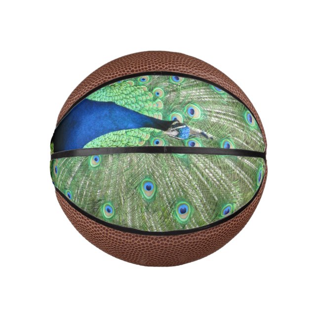 Basketball - Pfau mit Pferdefedern (Vorderseite)