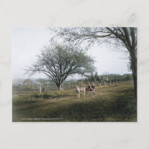 Basking Ridge NJ, Ausflug am Sonntag, Vintage Postkarte