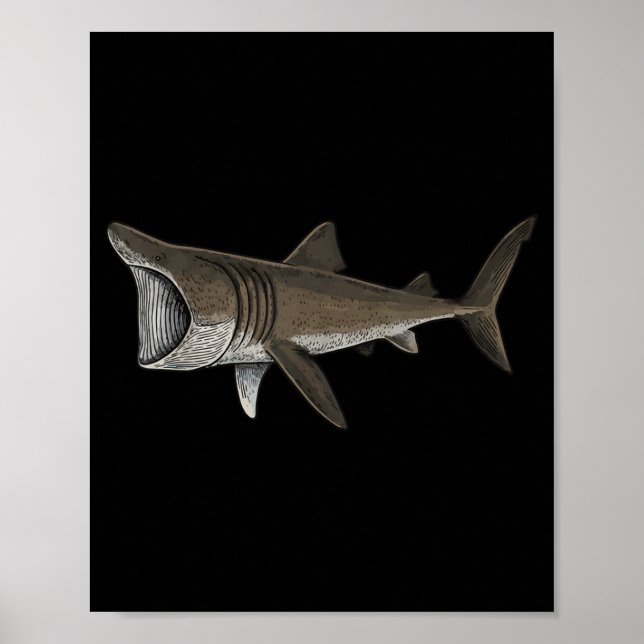 Basking Shark Poster (Vorne)