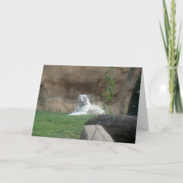 Basking White Tiger Karte