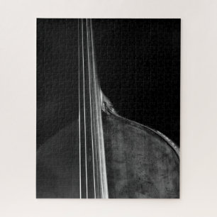 Bass 5 16x20 520pc jpcna puzzle