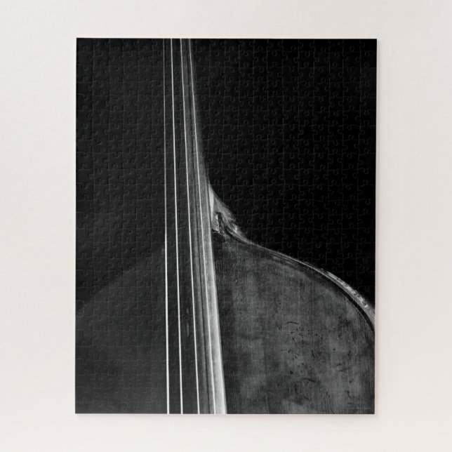 Bass 5 16x20 520pc jpcnm puzzle (Vertikal)