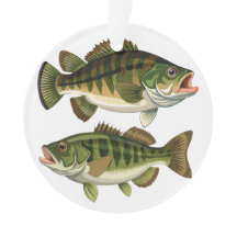 Bass-Angler und Fischerinnen