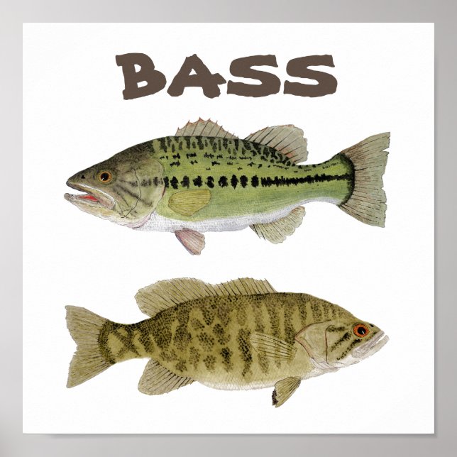 Bass Art Poster (Vorne)