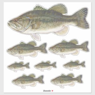 Bass Fish Custom Cut Vinyl Stickers Set Aufkleber