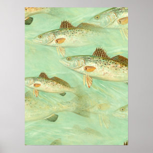 Bass Fish Muster Poster