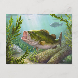 Bass Fish Postkarte