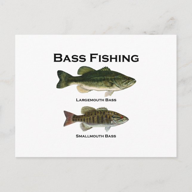 Bass Fishing-Logo (Largemouth - Mund) Postkarte (Vorderseite)