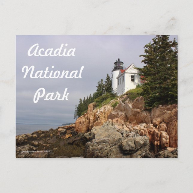 Bass Harbour Lighthouse Postkarte (Vorderseite)